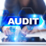 Internal Audit that include IT, HR, Payroll, Accounting.